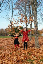 Fotografas Žilinskas Renaldas - vestuvinė, krikštynų fotografija, fotosesijos
