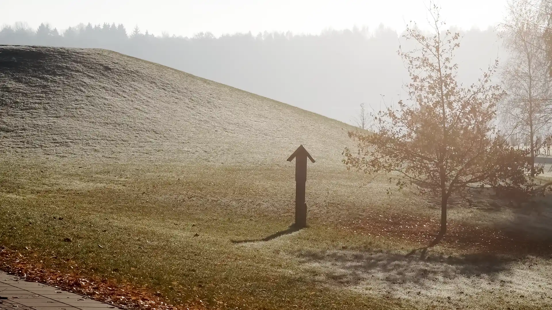 Telšių miesto nuotrauka, nemokamos fotosesijos Telšiuose, veltui